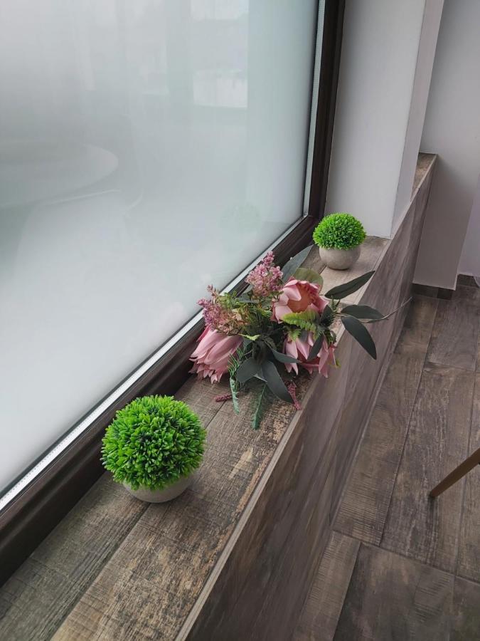 Appartamento Accent House Deva Esterno foto